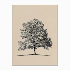 Oak Tree Minimalistic Drawing 1 Canvas Print