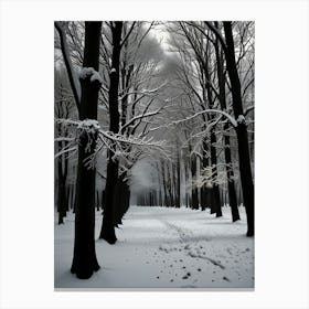 Snowy Forest 4 Canvas Print