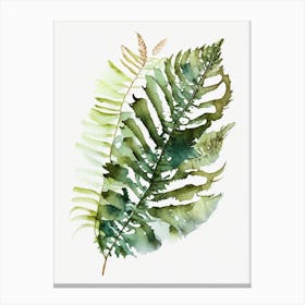 Chinese Brake Fern Watercolour Canvas Print