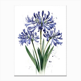 Blue Hyacinths 1 Canvas Print