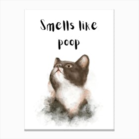 Smells Like Poop Canvas Print