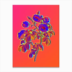 Neon Tomentose Rose Botanical in Hot Pink and Electric Blue n.0370 Canvas Print