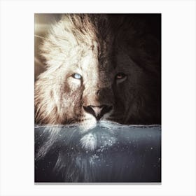 The King Lion In His Bath Canvas Print