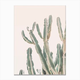Sunset Cactus I Canvas Print