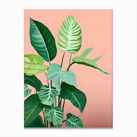 Tropical Plants Canvas Print