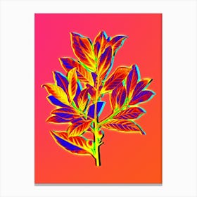 Neon Bay Laurel Botanical in Hot Pink and Electric Blue n.0537 Canvas Print