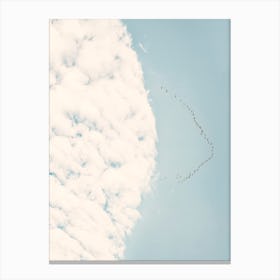A Flock Of Birds And A Cloud Canvas Print