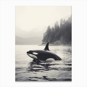 Misty Black & White Orca Whale Forest And Ocean Photography Style 2 Canvas Print