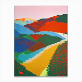 Ranthambore National Park 1 India Abstract Colourful Canvas Print