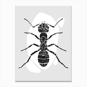 Ant Vector Illustration Canvas Print