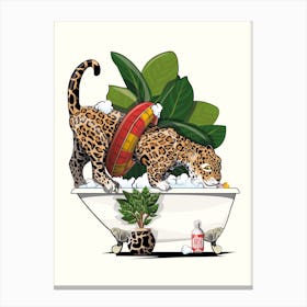 Jaguar Wild Cat On The Bath Canvas Print