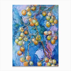 Golden Berry 2 Classic Fruit Canvas Print