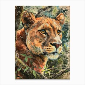 Mountain Lion Pastel Watercolour 3 Canvas Print