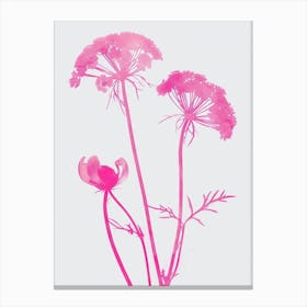 Hot Pink Queen Annes Lace 1 Canvas Print
