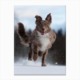 Dog Running In The Snow Canvas Print