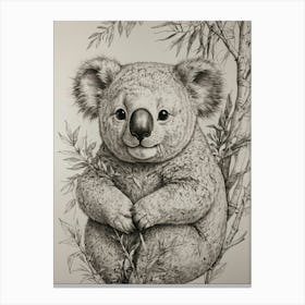 Koala Bear 15 Canvas Print