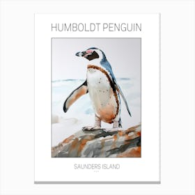 Humboldt Penguin Saunders Island Watercolour Painting 1 Poster Canvas Print