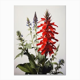 Pressed Wildflower Botanical Art Cardinal Flower Canvas Print