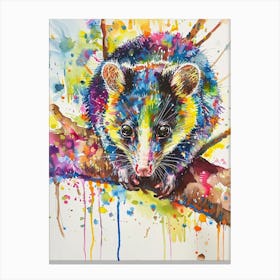 Opossum Colourful Watercolour 2 Canvas Print
