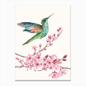 Hummingbird On Cherry Blossom Canvas Print