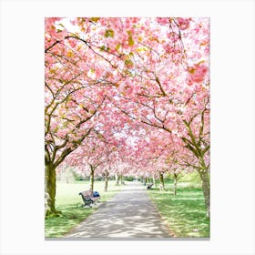 Park Blossom Canvas Print