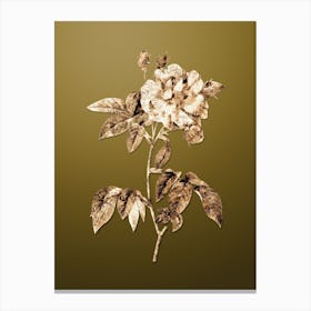 Gold Botanical French Rosebush with Variegated Flowers on Dune Yellow n.0560 Canvas Print