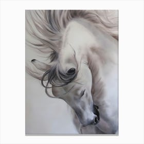 White Horse Canvas Print