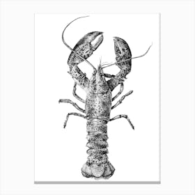 Dotwork Lobster Illustration Canvas Print
