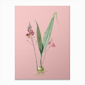 Vintage Pine Pink Botanical on Soft Pink n.0613 Canvas Print