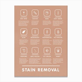 Mid Century Modern Laundry Stain Removal Instruction Stylish Pink   Canvas Print
