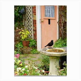 Blackbird In The Bath Leinwandbild