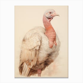 Vintage Bird Drawing Turkey 2 Canvas Print