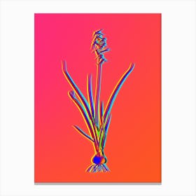 Neon Hyacinthus Viridis Botanical in Hot Pink and Electric Blue n.0163 Canvas Print