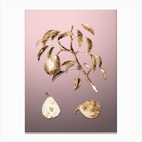 Gold Botanical Pear on Rose Quartz 1 Canvas Print