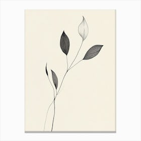 Leaf On A Branch 3 Canvas Print