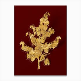 Vintage Aloe Yucca Botanical in Gold on Red n.0243 Canvas Print