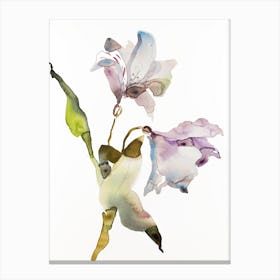 Lily 10 Canvas Print