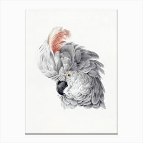 White Parrot Vintage Bird Art Print_2835797 Canvas Print