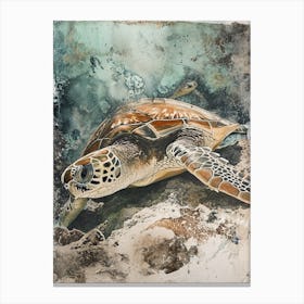 Close Up Sea Turtle On The Ocen Floor Canvas Print