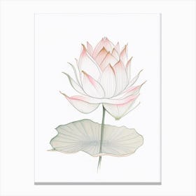 Sacred Lotus Pencil Illustration 3 Canvas Print