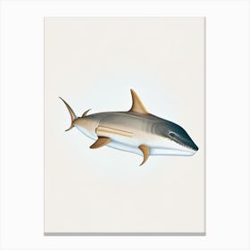Cookie Cutter Shark Vintage Canvas Print