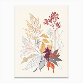 Ginseng Spices And Herbs Minimal Line Drawing 1 Canvas Print