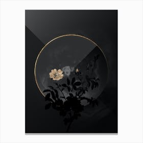 Shadowy Vintage White Downy Rose Botanical in Black and Gold Canvas Print
