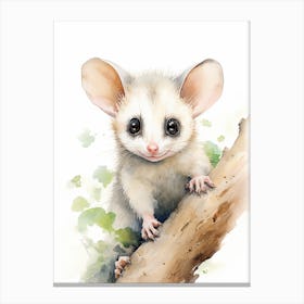 Light Watercolor Painting Of A Baby Possum 5 Canvas Print