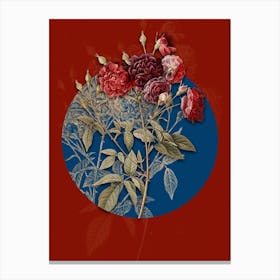 Vintage Botanical Ternaux Rose Bloom on Circle Blue on Red n.0140 Canvas Print