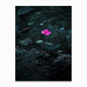 Pink Flower 12 Canvas Print