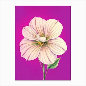 White Flower On Purple Background Canvas Print