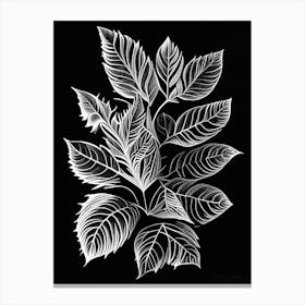 Tulsi Leaf Linocut 1 Canvas Print