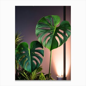 Monstera Plant 4 Canvas Print