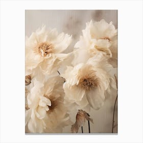 Boho Dried Flowers Peony 6 Canvas Print